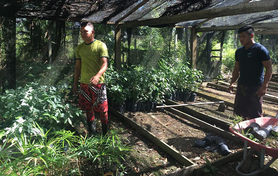 Pessas trabalhando com plantações