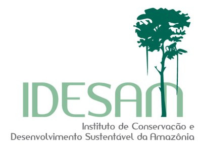 IDESAM logo